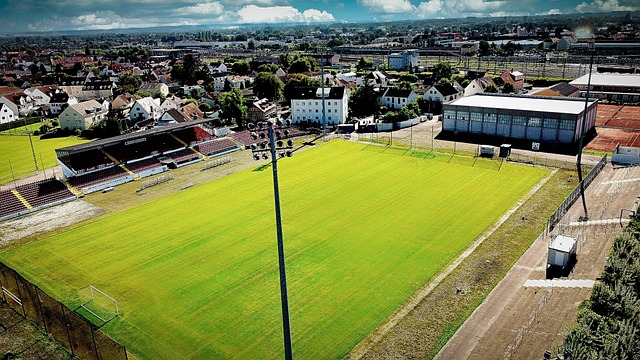 城的篮球迷 城的篮球迷